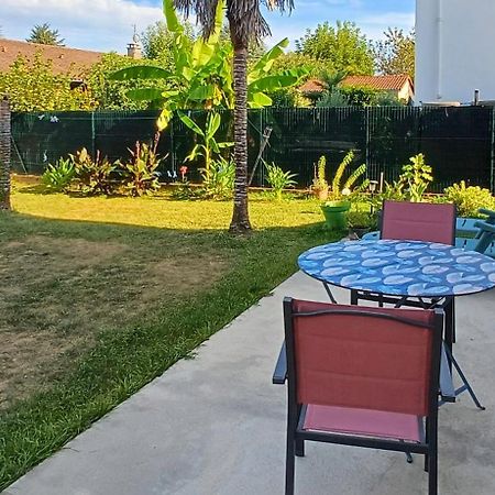 Joli Appartement วีเนิฟ-โซร์-ล็อต ภายนอก รูปภาพ